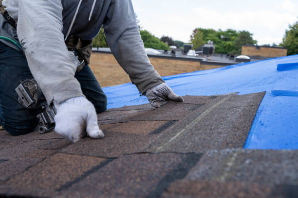 Best Metal Roofing Contractor  in Mar Mac, NC